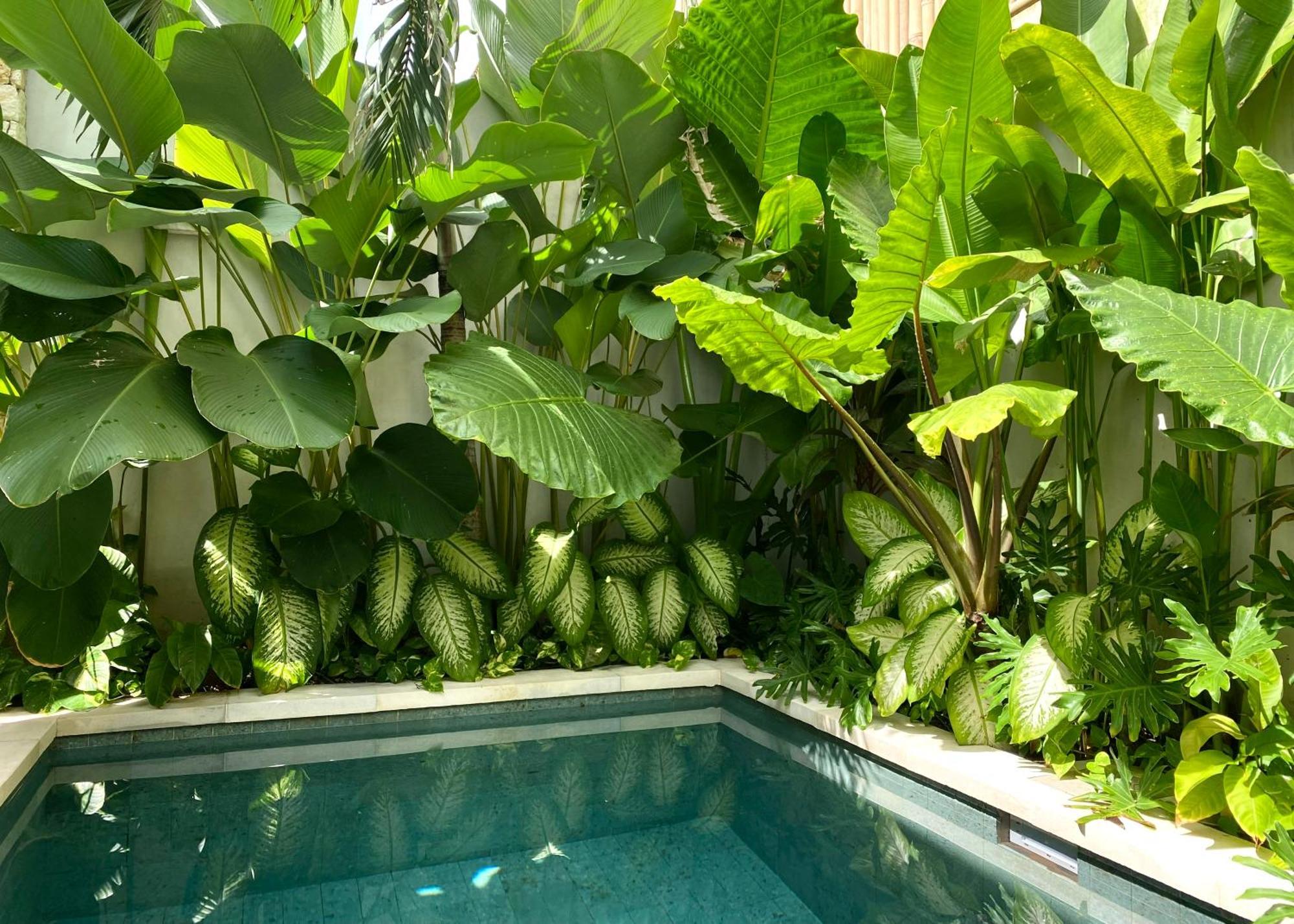 Alma Bingin Boutique Hotel ウルワツ エクステリア 写真